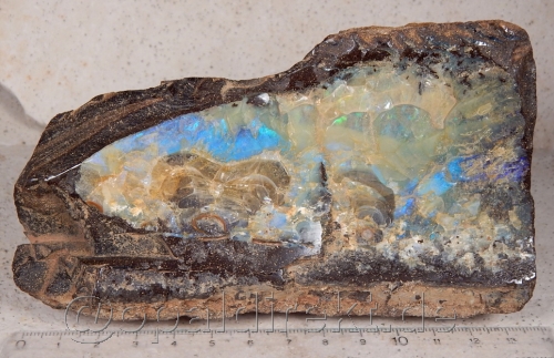 XXL Boulderopal Specimen - Video