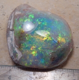 Opalisierte-Opal-Muschel - Video